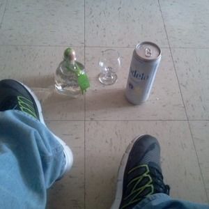 Meet your Posher, Felipe